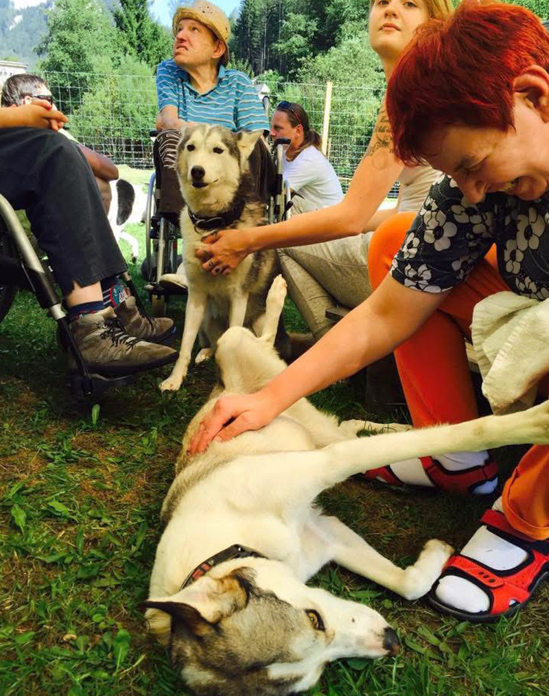 Eine Gruppe von Menschen mit besonderen Bedürfnissen streichelt auf einer Wiese 2 Huskys