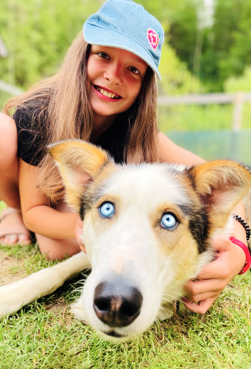 Huskyfieber Feriencamp Junges Mädchen das einen Husky streichelt