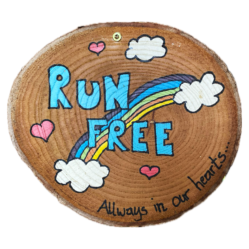 Huskyfieber Run Free Bild von einer Holzscheibe mit dem Run Free Schriftzug