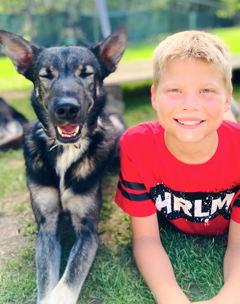 Huskyfieber Junger Bub der auf der Wiese neben einem Husky liegt